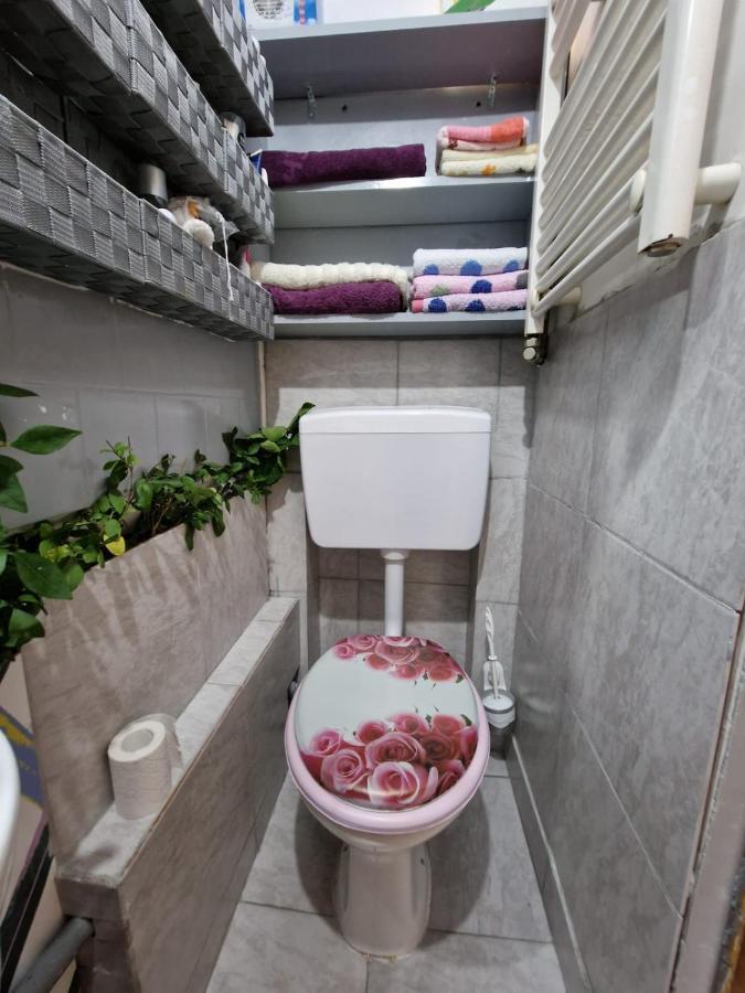 Apartament Ultracentral 2 Piata Muzeului Kaloşvar Dış mekan fotoğraf