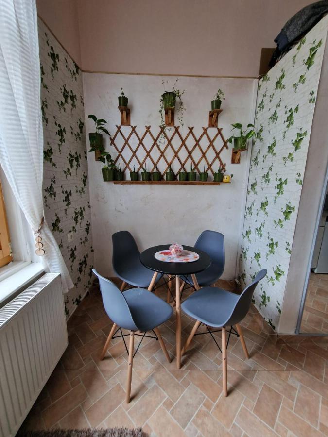 Apartament Ultracentral 2 Piata Muzeului Kaloşvar Dış mekan fotoğraf