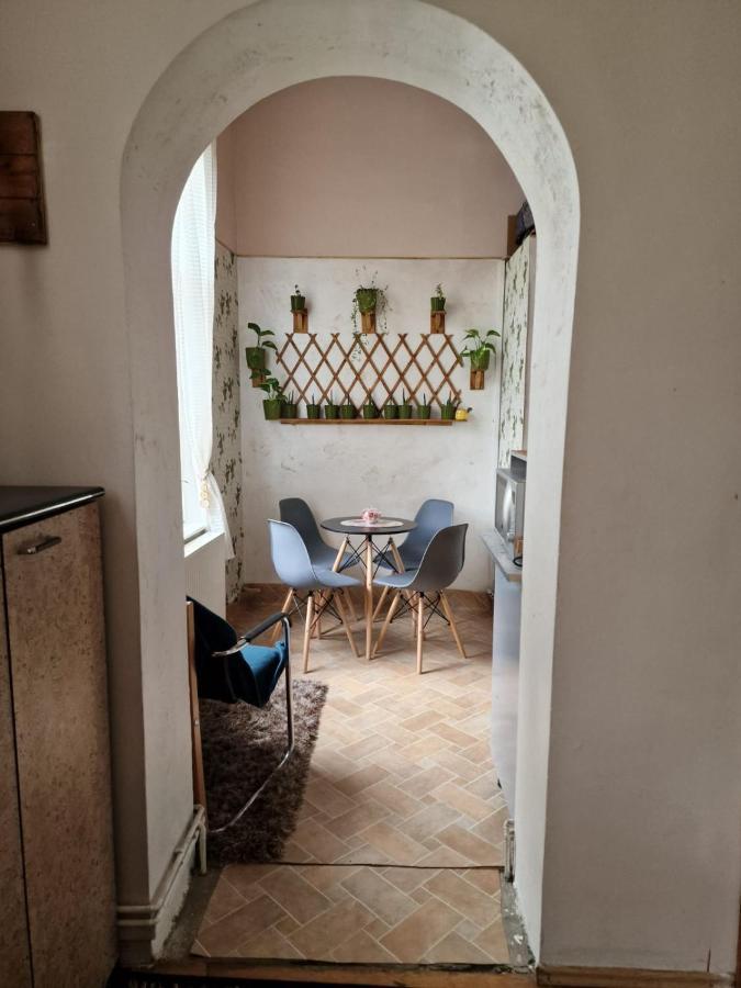 Apartament Ultracentral 2 Piata Muzeului Kaloşvar Dış mekan fotoğraf