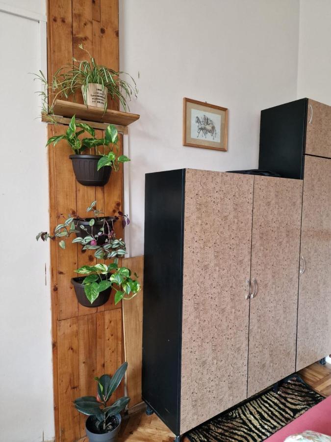 Apartament Ultracentral 2 Piata Muzeului Kaloşvar Dış mekan fotoğraf
